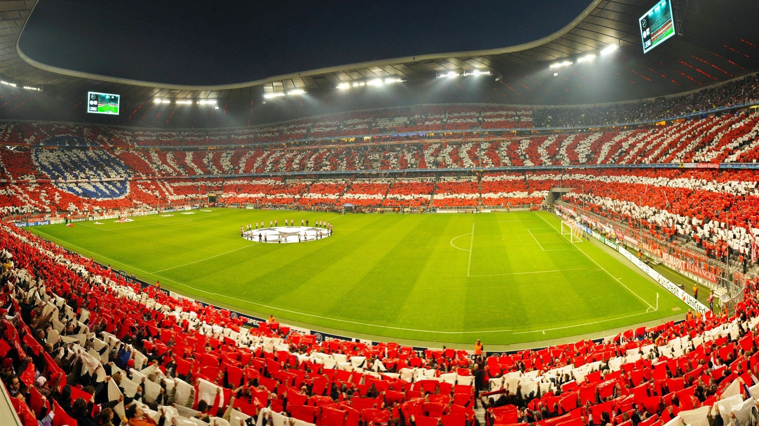 _夜空瑜伽：在星光下的身心合一_，星空瑜伽馆